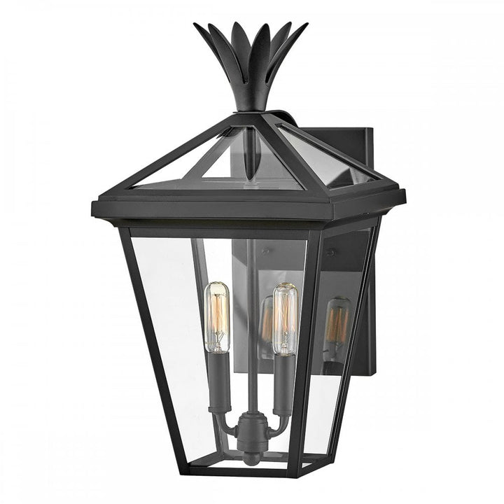 Hinkley Lighting HK-PALMA-M-BK Palma 2 Light Outdoor Medium Wall Lantern Black
