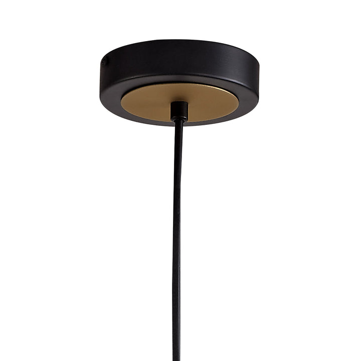 Nelson Lighting NL78229 Ria Pendant 1 Light Black/Satin Gold