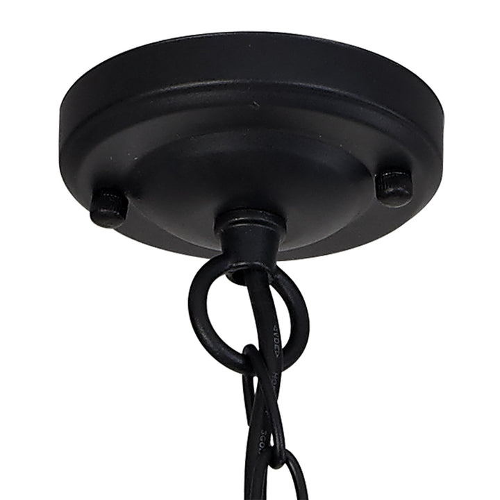 Nelson Lighting NL83739 Rowley Outdoor Pendant Wood Effect & Black/Clear Glass
