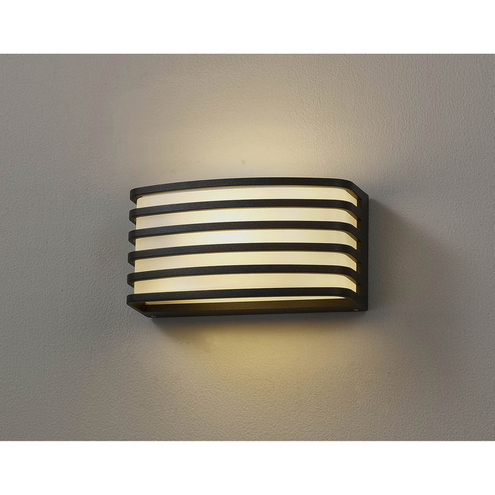 Nelson Lighting NL93699 Bagen 1 Light Outdoor Wall Light Matt Black Opal