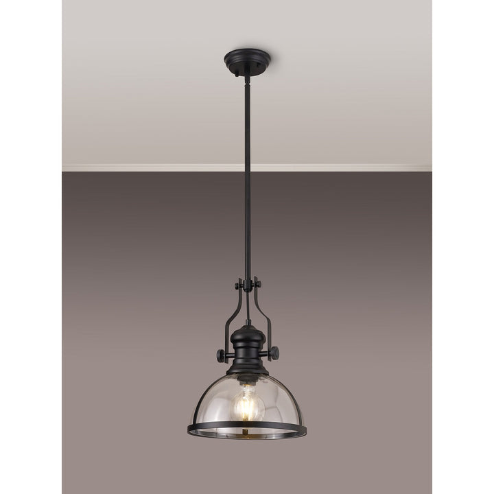 Nelson Lighting NL7262/BL9 Louis 1 Light Pendant Matt Black Clear