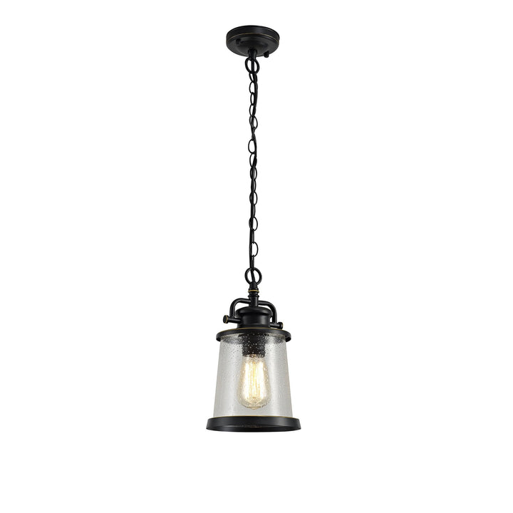 Nelson Lighting NL71979 Brad Outdoor Pendant Black/Gold With Seeded Clear Glass