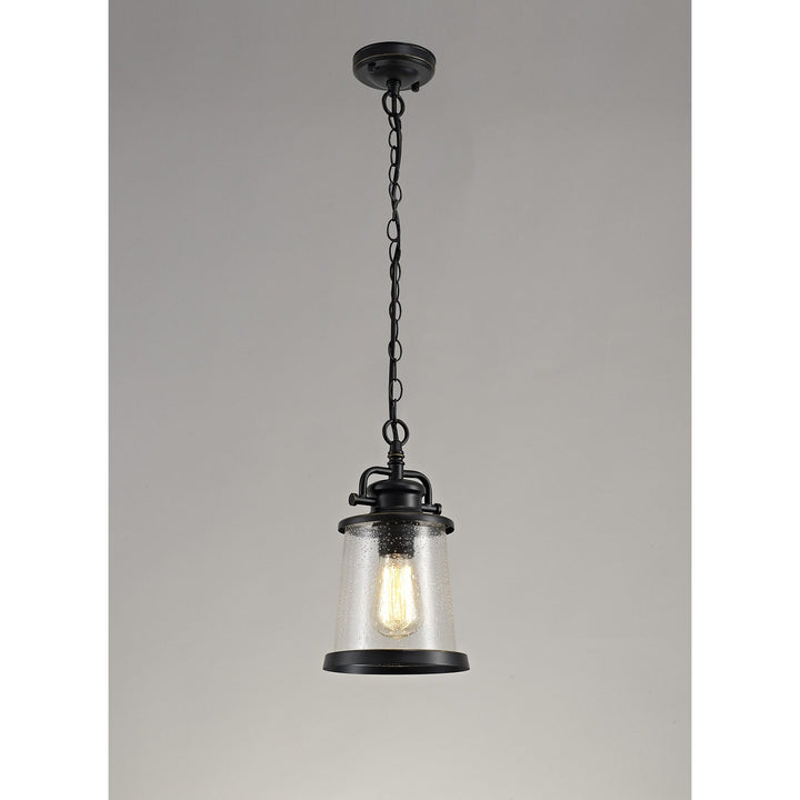 Nelson Lighting NL71979 Brad Outdoor Pendant Black/Gold With Seeded Clear Glass