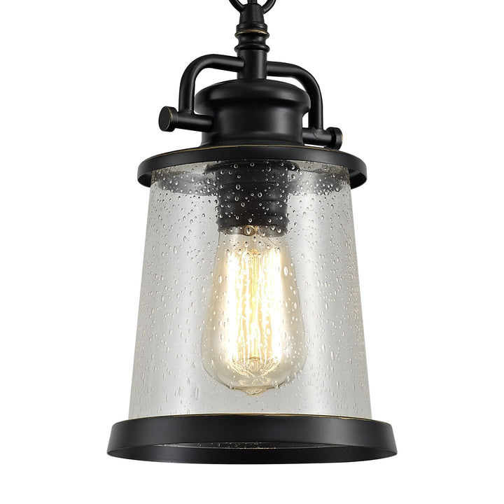Nelson Lighting NL71979 Brad Outdoor Pendant Black/Gold With Seeded Clear Glass