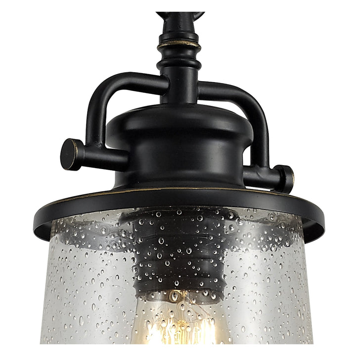 Nelson Lighting NL71979 Brad Outdoor Pendant Black/Gold With Seeded Clear Glass