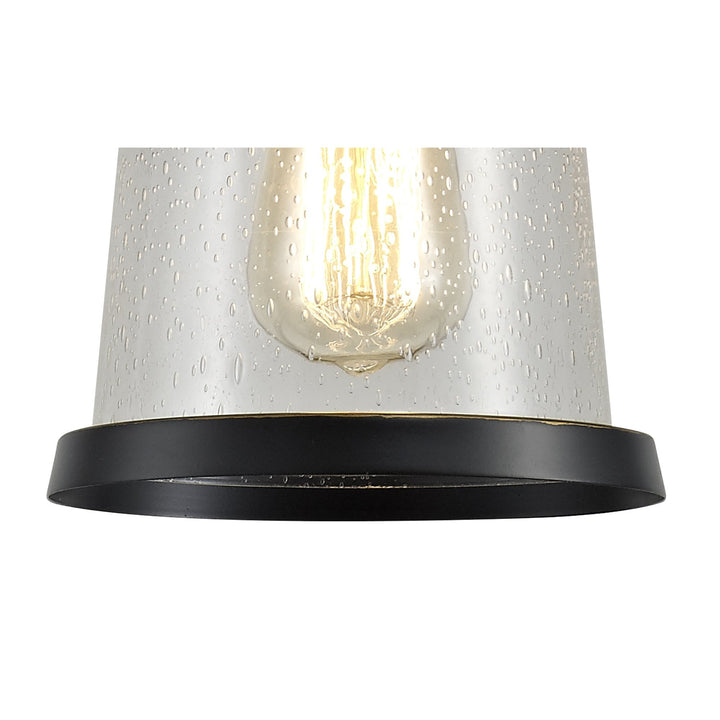 Nelson Lighting NL71979 Brad Outdoor Pendant Black/Gold With Seeded Clear Glass