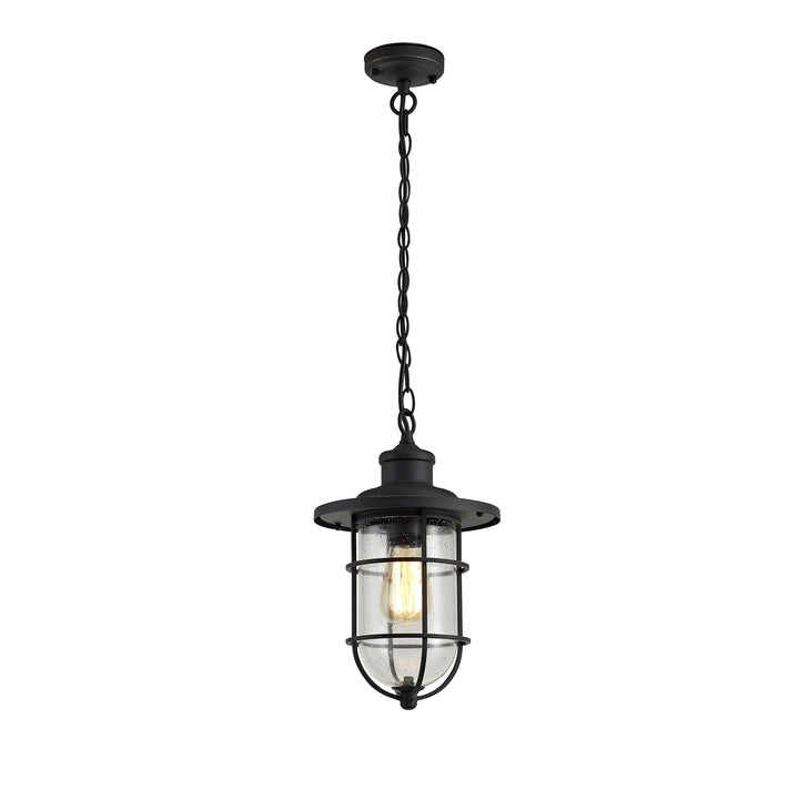 Nelson Lighting NL73149 Bosun Outdoor Pendant Black/Gold With Seeded Clear Glass