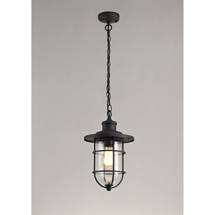 Nelson Lighting NL73149 Bosun Outdoor Pendant Black/Gold With Seeded Clear Glass