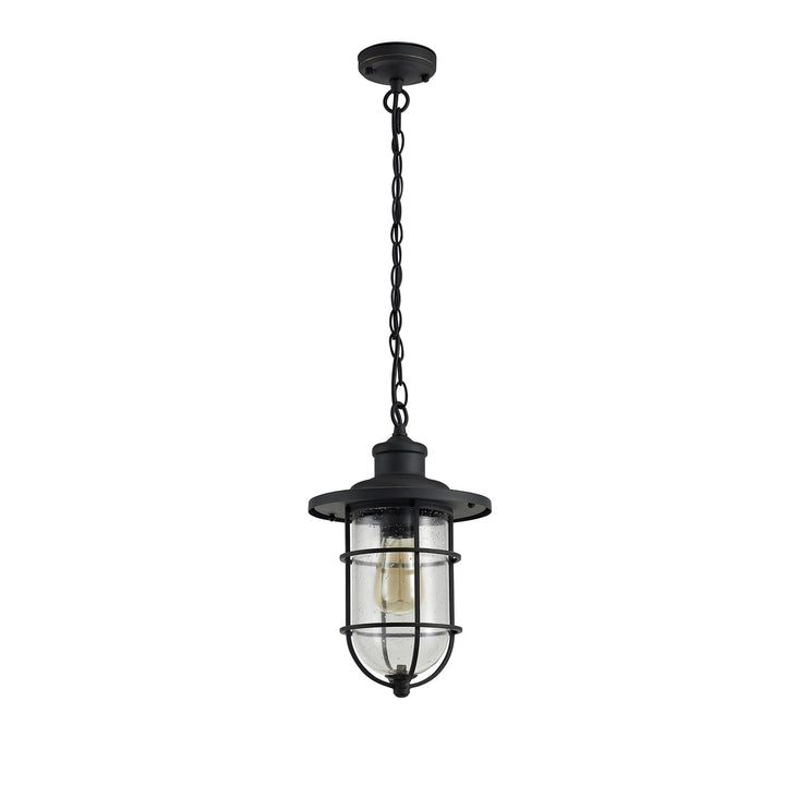 Nelson Lighting NL73149 Bosun Outdoor Pendant Black/Gold With Seeded Clear Glass