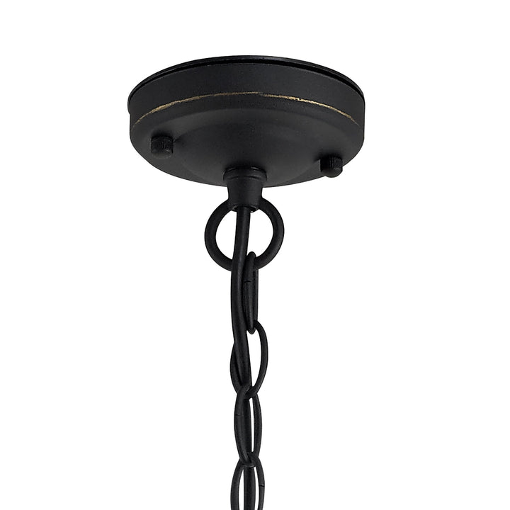 Nelson Lighting NL73149 Bosun Outdoor Pendant Black/Gold With Seeded Clear Glass