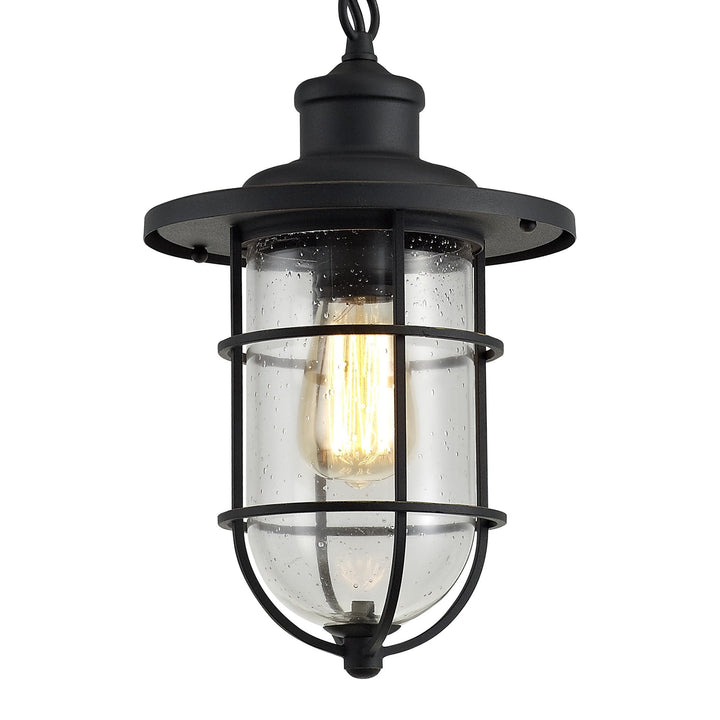 Nelson Lighting NL73149 Bosun Outdoor Pendant Black/Gold With Seeded Clear Glass