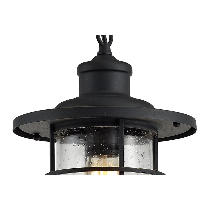 Nelson Lighting NL73149 Bosun Outdoor Pendant Black/Gold With Seeded Clear Glass