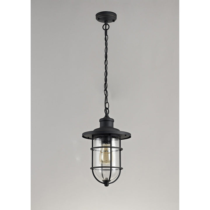 Nelson Lighting NL73149 Bosun Outdoor Pendant Black/Gold With Seeded Clear Glass