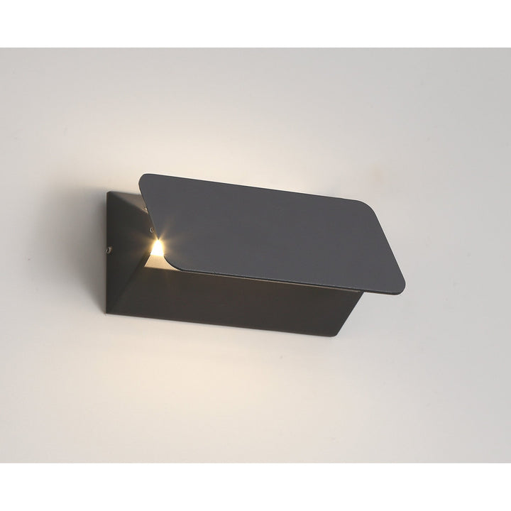 Nelson Lighting NL72019 Carl Outdoor Up & Downward Lighting Wall Lamp LED Anthracite