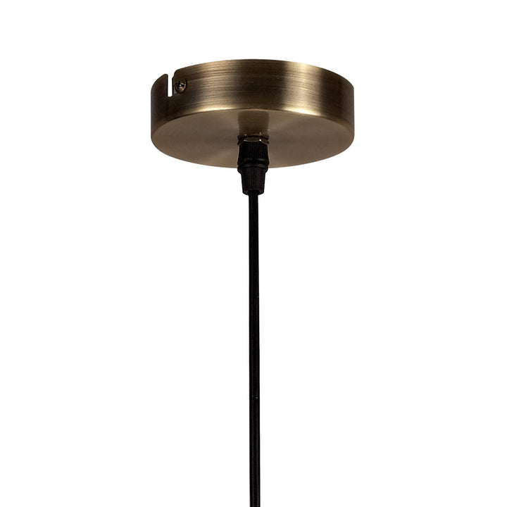 Nelson Lighting NL71319 Davie Medium Pendant 1 Light Antique Brass