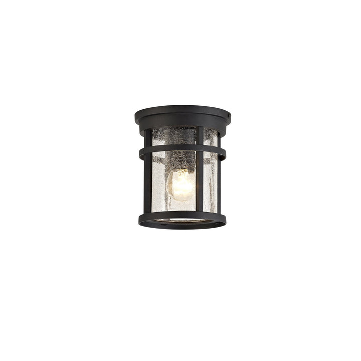 Nelson Lighting NL73199 Ellis Outdoor Ceiling 1 Light Black/Clear Crackled Glass