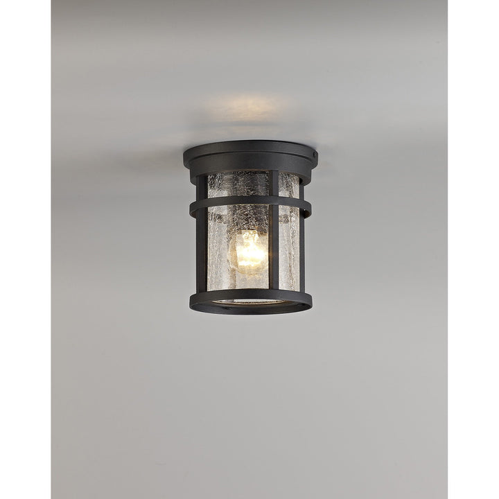 Nelson Lighting NL73199 Ellis Outdoor Ceiling 1 Light Black/Clear Crackled Glass