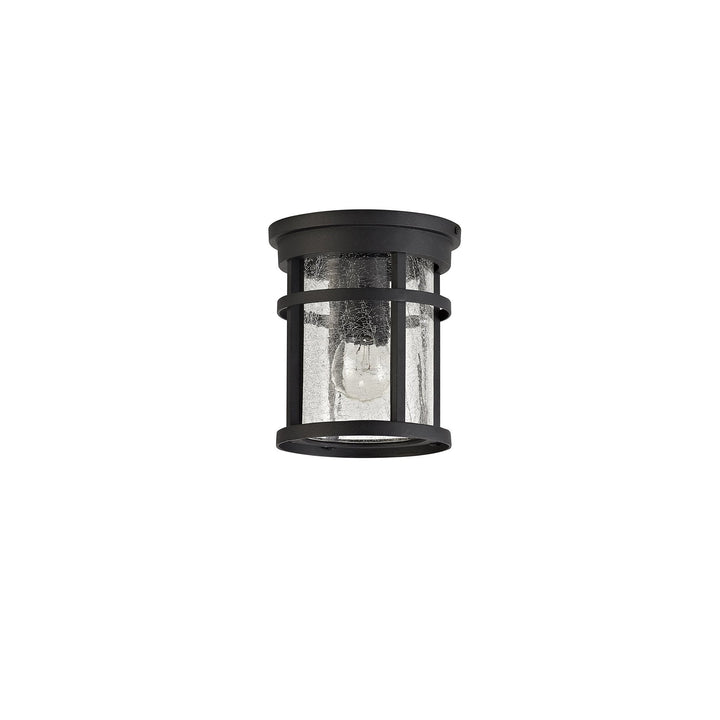 Nelson Lighting NL73199 Ellis Outdoor Ceiling 1 Light Black/Clear Crackled Glass