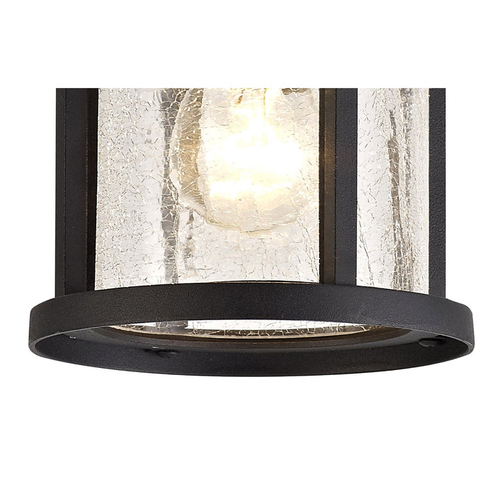 Nelson Lighting NL73199 Ellis Outdoor Ceiling 1 Light Black/Clear Crackled Glass
