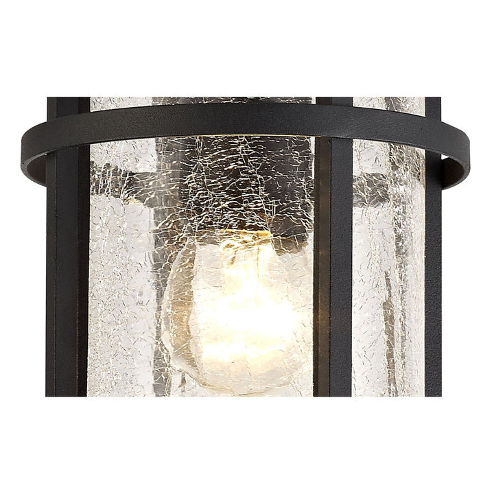 Nelson Lighting NL73199 Ellis Outdoor Ceiling 1 Light Black/Clear Crackled Glass