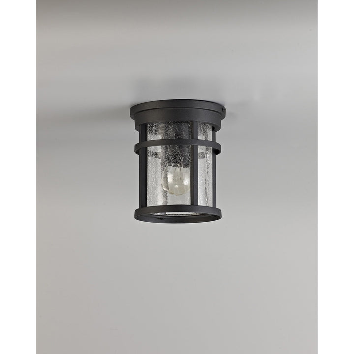 Nelson Lighting NL73199 Ellis Outdoor Ceiling 1 Light Black/Clear Crackled Glass