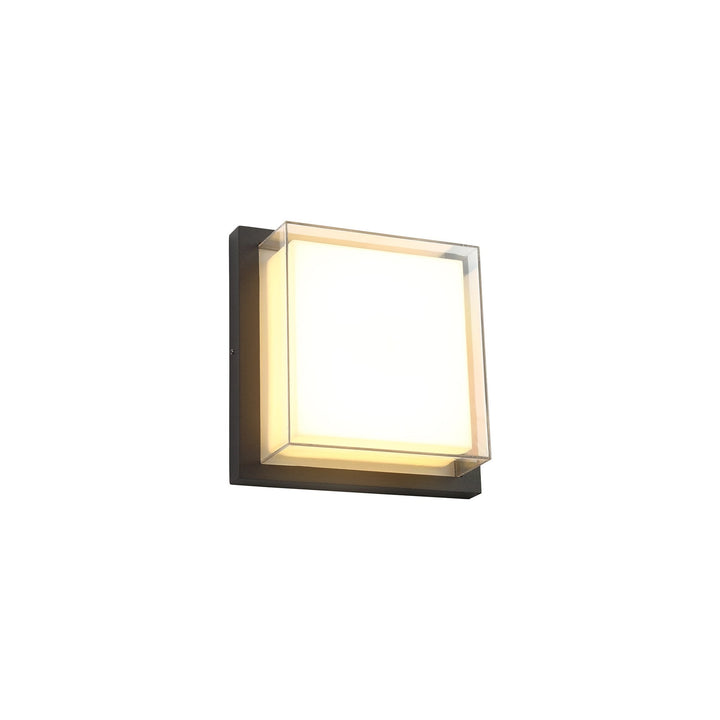 Nelson Lighting NL77849 Abb Outdoor Wall Lamp LED Anthracite/Opal/Clear PC