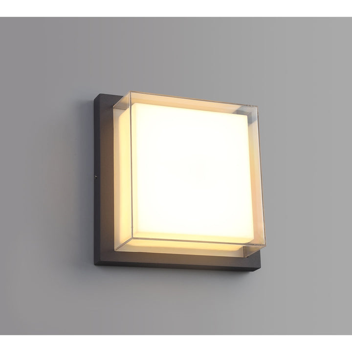 Nelson Lighting NL77849 Abb Outdoor Wall Lamp LED Anthracite/Opal/Clear PC