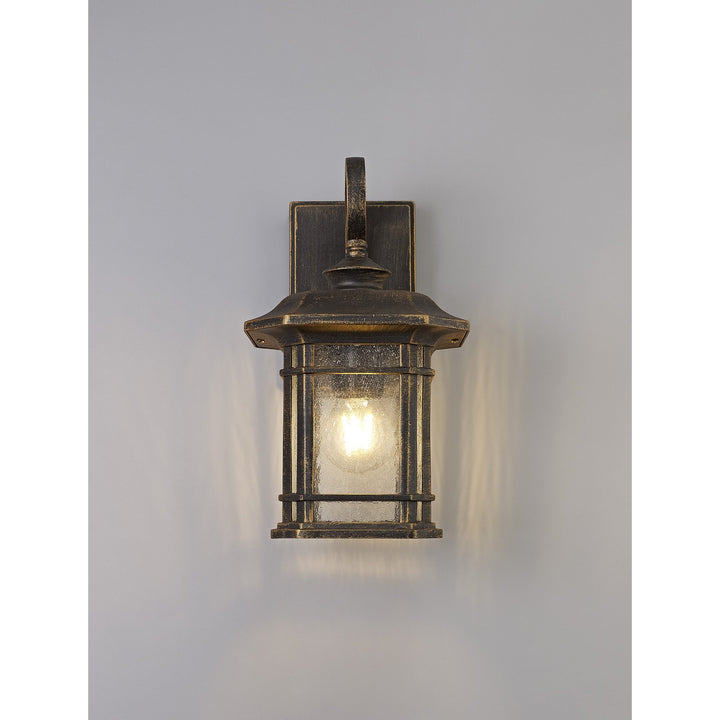 Nelson Lighting NL75799 Biello Outdoor Small Wall Lamp 1 Light Brushed Black Gold/Seeded Glass