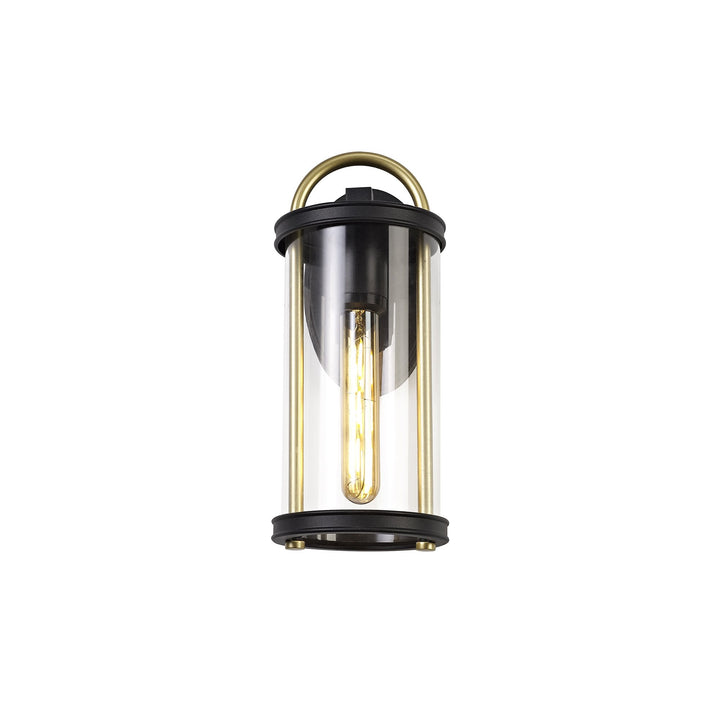 Nelson Lighting NL75829 Gast Outdoor Small Wall Lamp 1 Light Black & Gold/Clear Glass