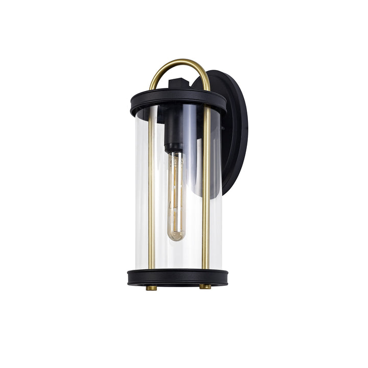 Nelson Lighting NL75839 Gast Outdoor Large Wall Lamp 1 Light Black & Gold/Clear Glass