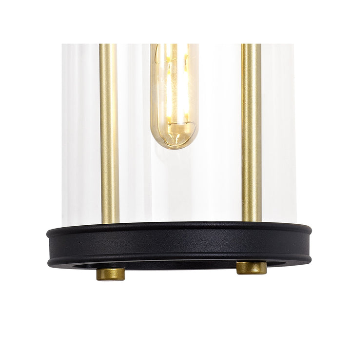 Nelson Lighting NL75839 Gast Outdoor Large Wall Lamp 1 Light Black & Gold/Clear Glass