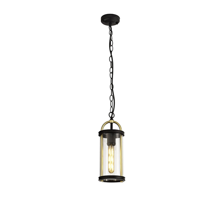 Nelson Lighting NL75849 Gast Outdoor Pendant 1 Light Black & Gold/Clear Glass