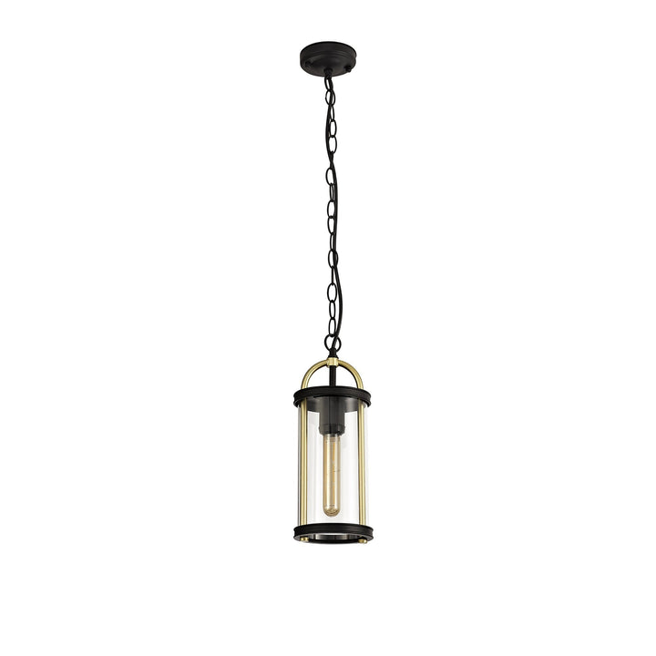 Nelson Lighting NL75849 Gast Outdoor Pendant 1 Light Black & Gold/Clear Glass