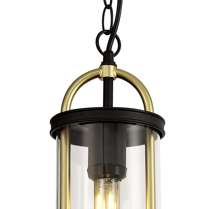 Nelson Lighting NL75849 Gast Outdoor Pendant 1 Light Black & Gold/Clear Glass