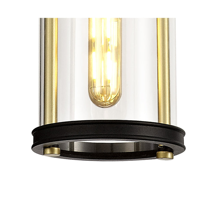 Nelson Lighting NL75849 Gast Outdoor Pendant 1 Light Black & Gold/Clear Glass