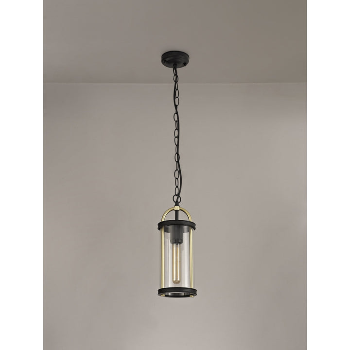 Nelson Lighting NL75849 Gast Outdoor Pendant 1 Light Black & Gold/Clear Glass