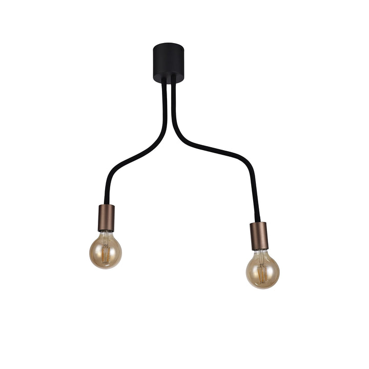 Nelson Lighting NL76449 Gino Flexible Ceiling 2 Light Satin Black/Brushed Copper