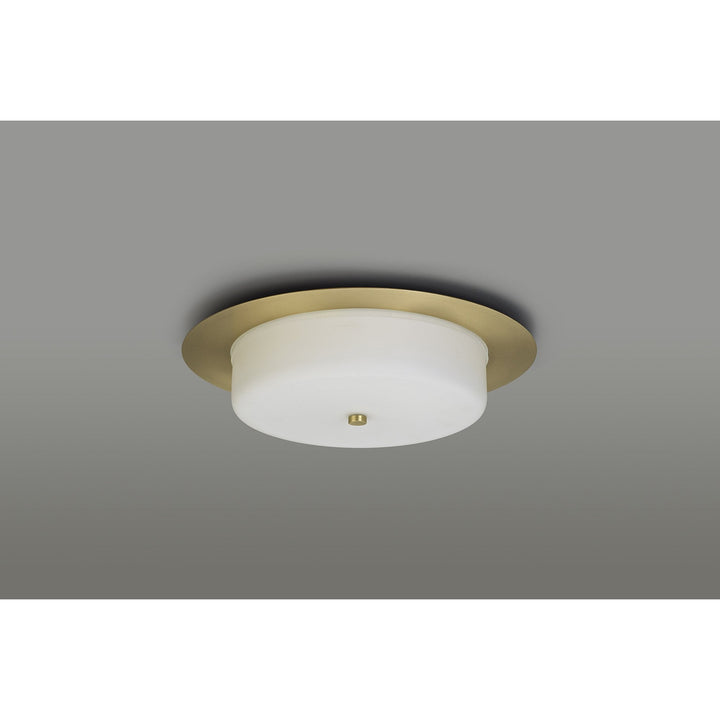 Nelson Lighting NL77639 Hex Bathroom LED Flush Ceiling Light Antique Brass