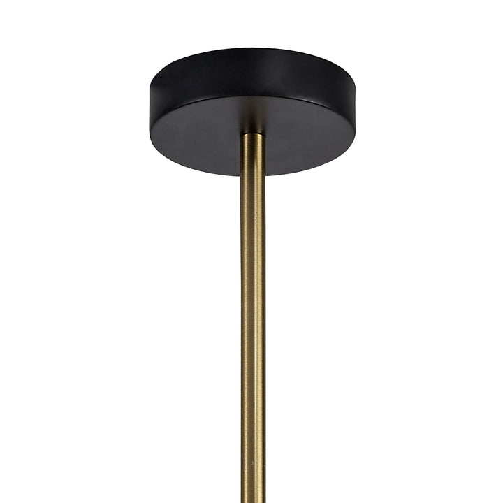 Nelson Lighting NL71019 | Liza Pendant | 4-Light Black & Satin Gold Elegance