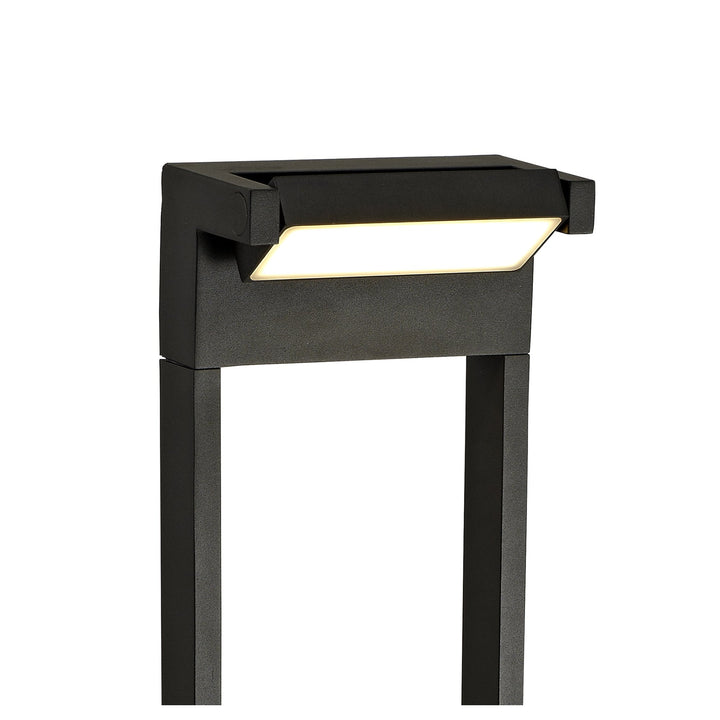 Nelson Lighting NL71869 Lucia Outdoor Tall Post LED Graphite Black
