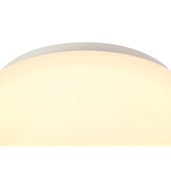 Nelson Lighting NL77549 Lima Bathroom Ceiling Light LED White/Frosted Glass