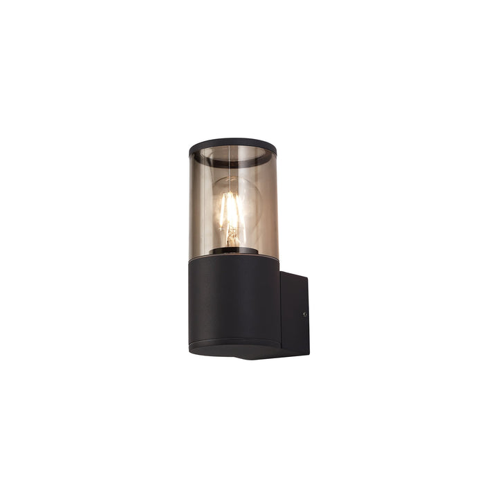 Nelson Lighting NL7775/SM9 Marc Outdoor Wall Lamp 1 Light Anthracite/Smoked