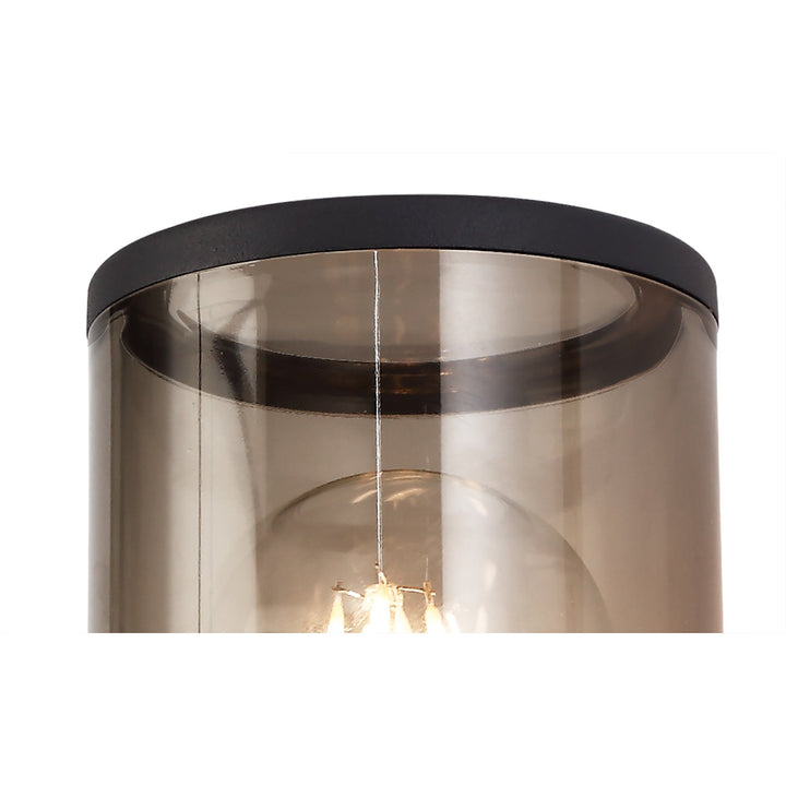 Nelson Lighting NL7775/SM9 Marc Outdoor Wall Lamp 1 Light Anthracite/Smoked