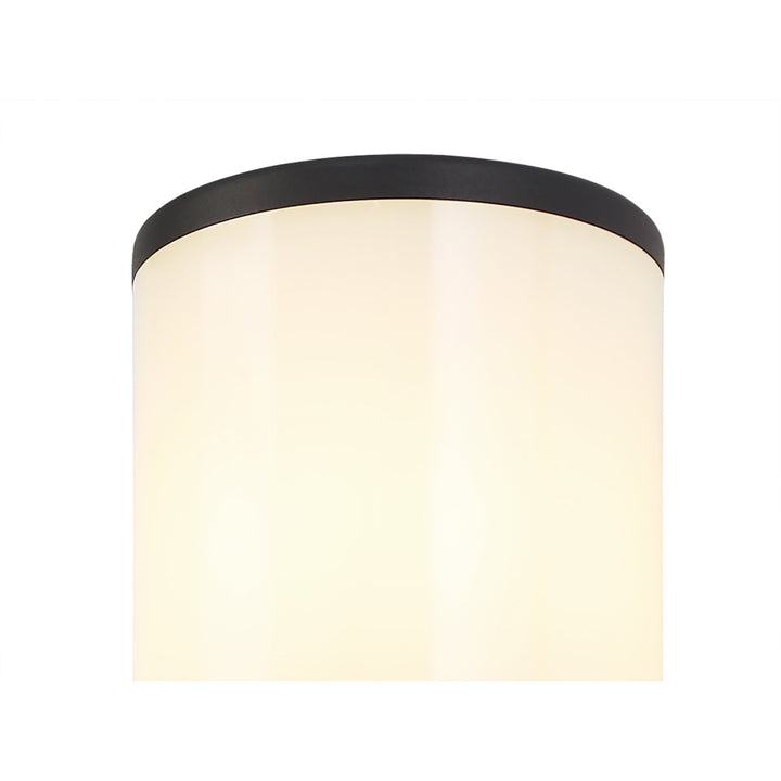 Nelson Lighting NL7776/OP9 Marc Outdoor Wall Lamp 2 Light Anthracite/Opal