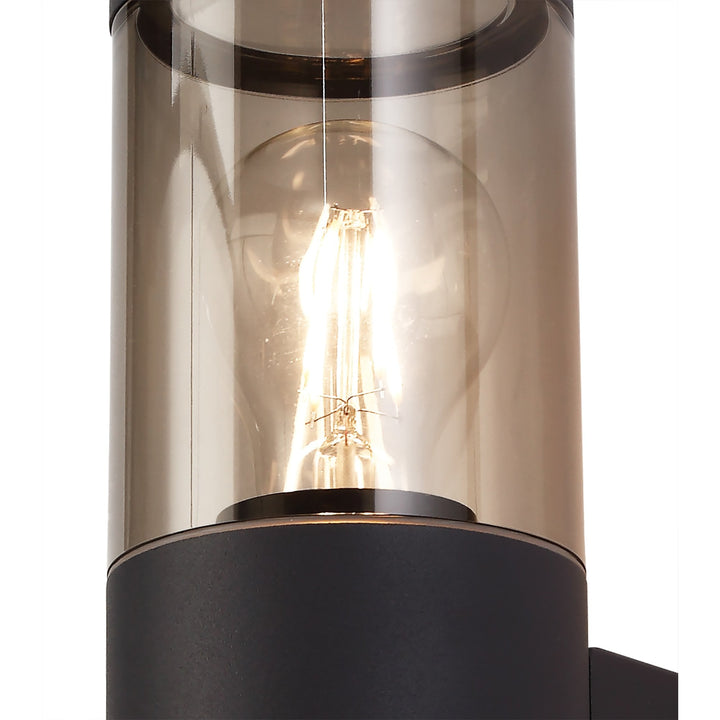 Nelson Lighting NL7776/SM9 | Marc Outdoor Wall Lamp | Anthracite/Smoked