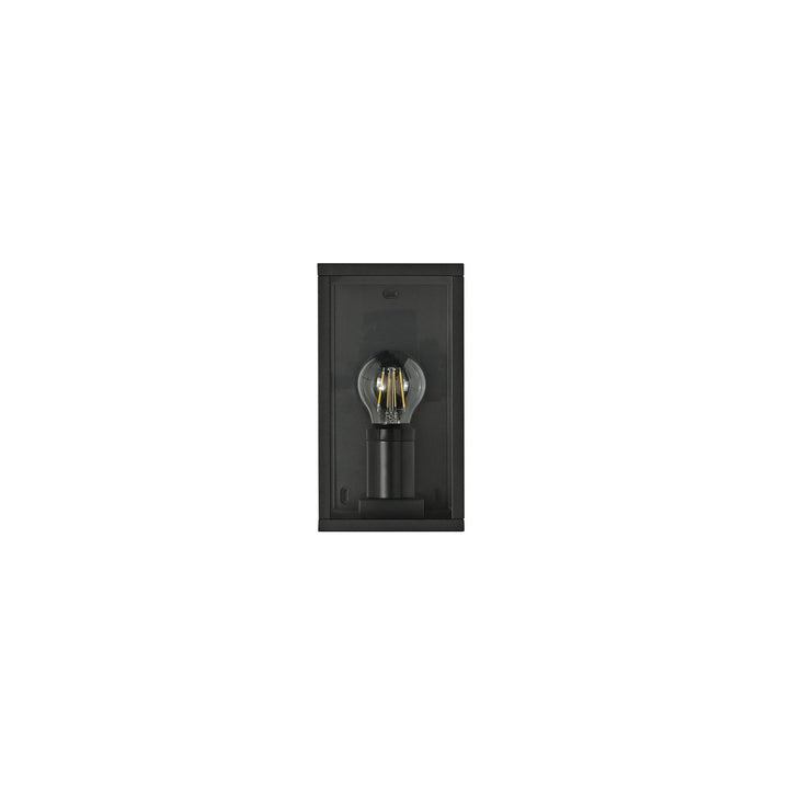 Nelson Lighting NL71159 Mateo Outdoor Flush Wall Lamp 1 Light Graphite Black