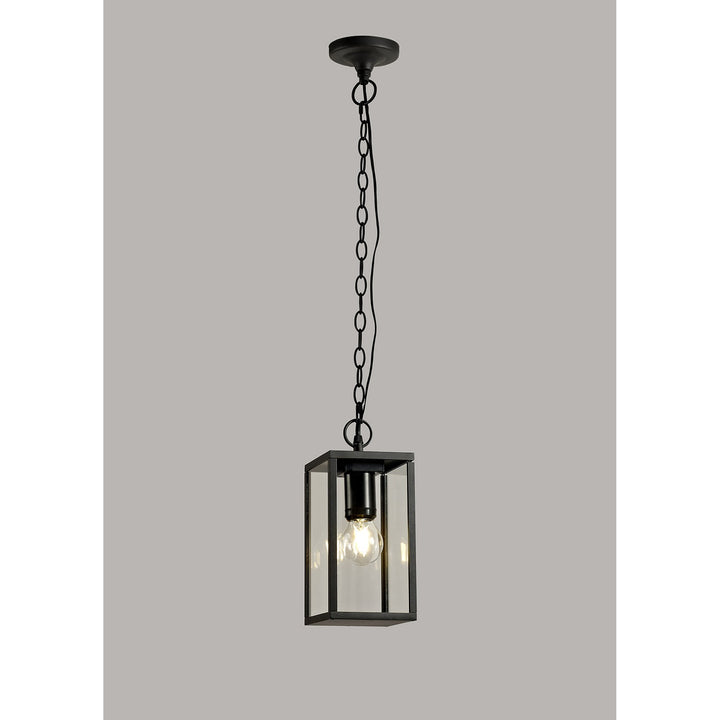 Nelson Lighting NL71189 Mateo Outdoor Pendant 1 Light Graphite Black