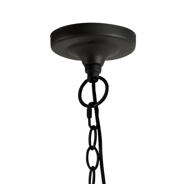 Nelson Lighting NL71189 Mateo Outdoor Pendant 1 Light Graphite Black