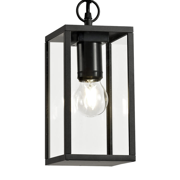 Nelson Lighting NL71189 Mateo Outdoor Pendant 1 Light Graphite Black