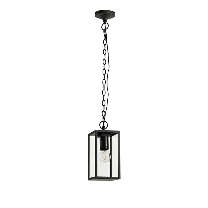 Nelson Lighting NL71189 Mateo Outdoor Pendant 1 Light Graphite Black